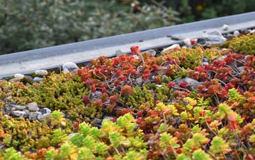 the cost of Covingham green roof installation