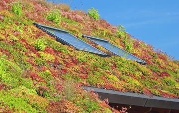 Covingham living roof systems