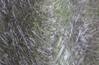 Covingham fibreglass roof work